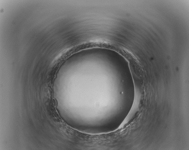 X0000062140776200512161216