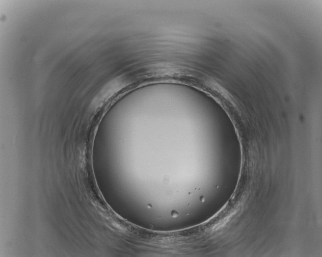 X0000062140778200512161216