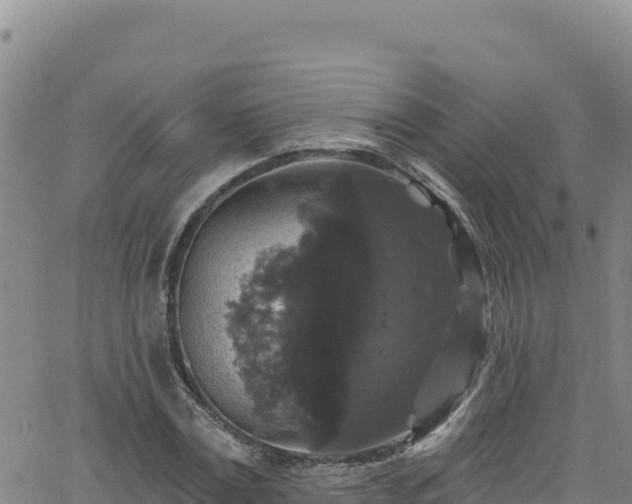 X0000062140779200512161216