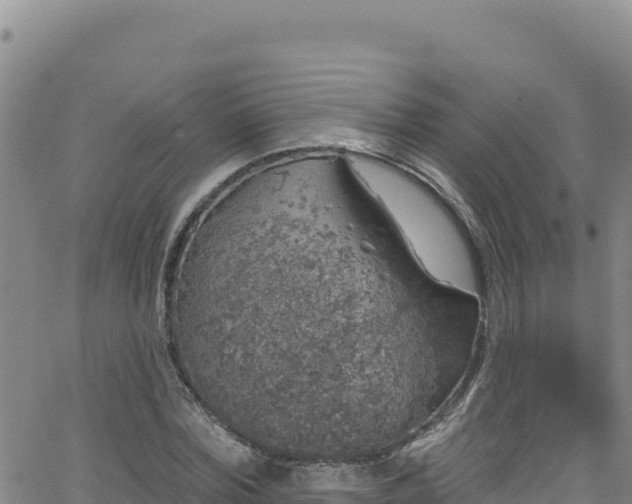 X0000062140780200512161216