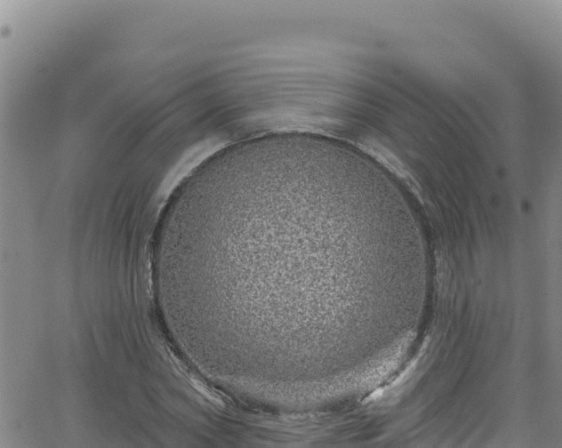 X0000062140782200512161216