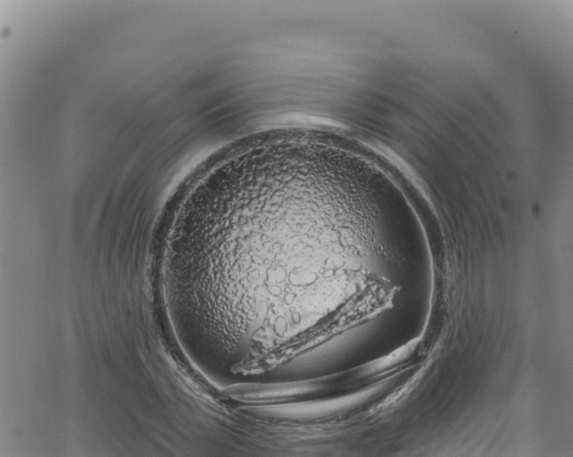 X0000062140783200512161216