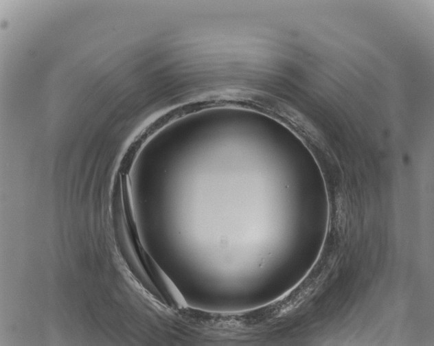 X0000062140784200512161216