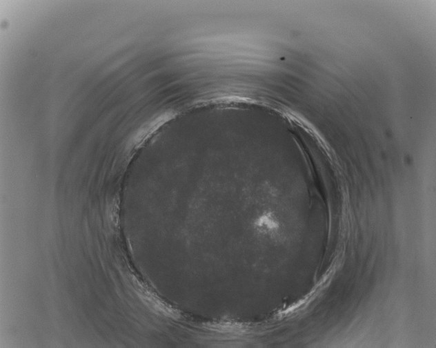 X0000062140785200512161216