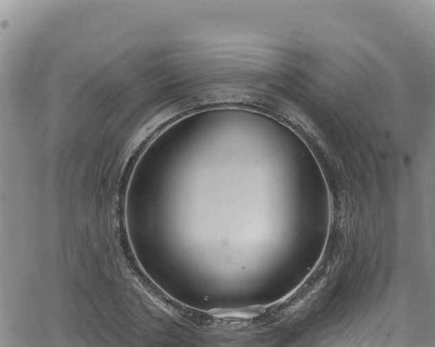 X0000062140786200512161216