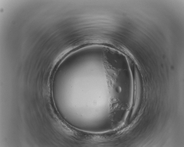 X0000062140787200512161216