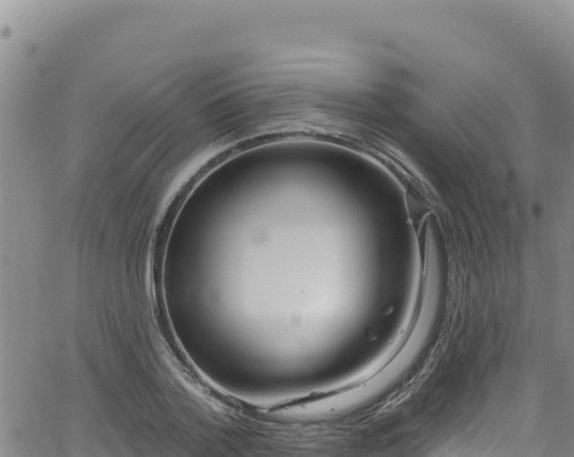 X0000062140788200512161216