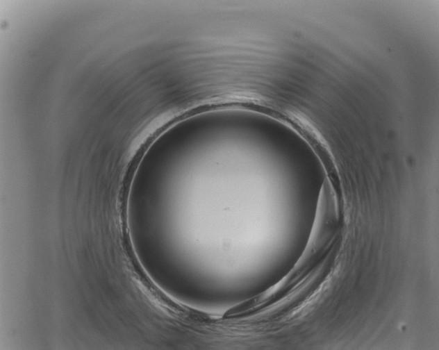 X0000062140789200512161216