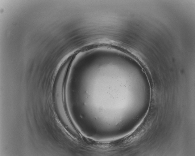 X0000062140791200512161216