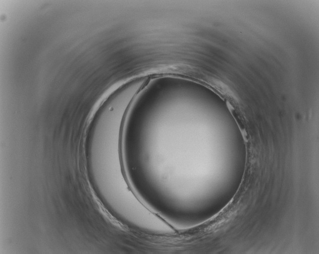 X0000062140792200512161216