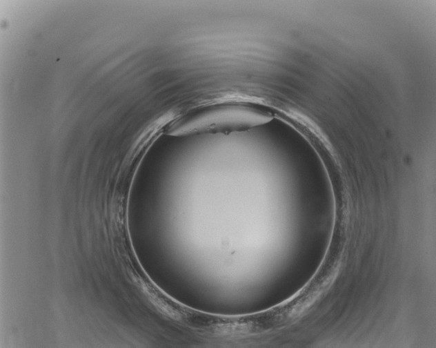 X0000062140793200512161216