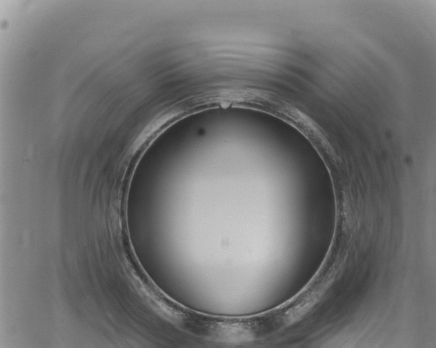 X0000062140794200512161216