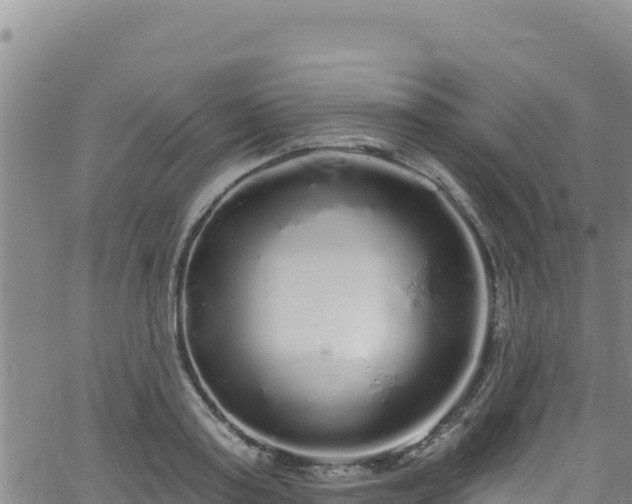 X0000062140795200512161216