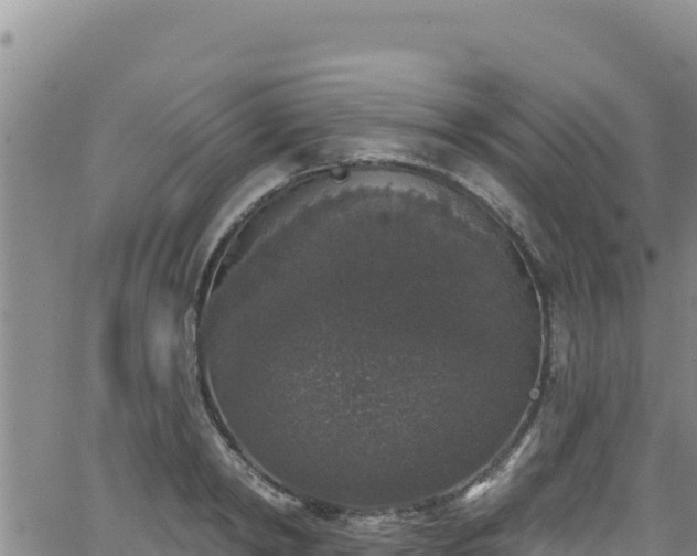 X0000062140798200512161216