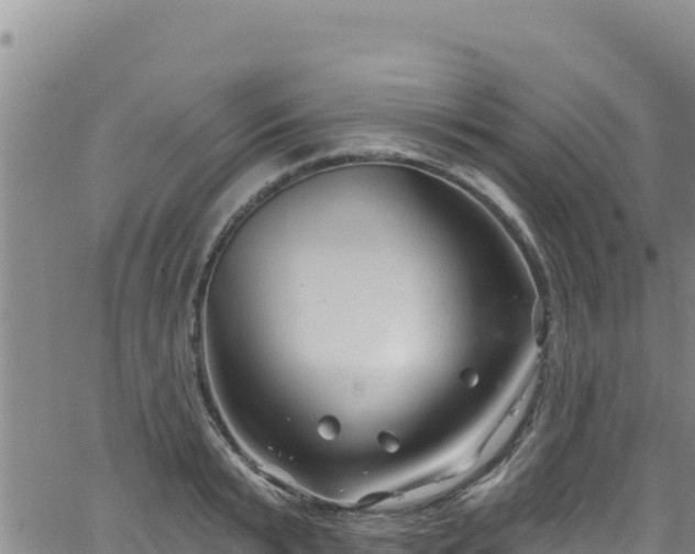 X0000062140799200512161216