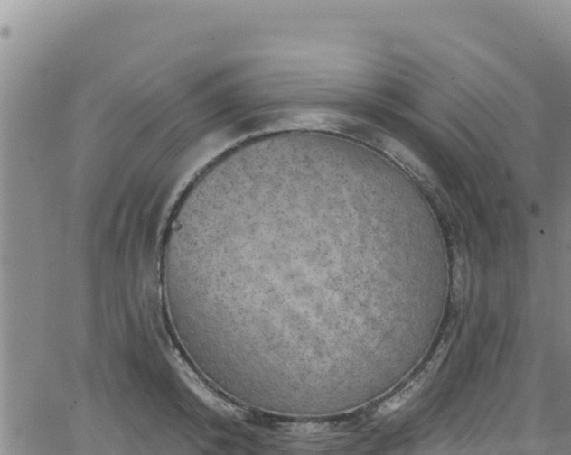 X0000062140800200512161216