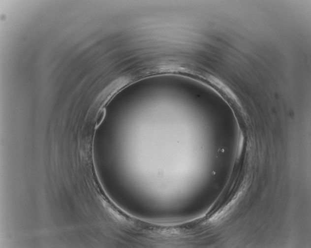 X0000062140801200512161216