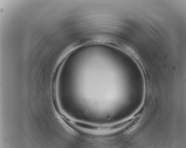 X0000062140803200512161216