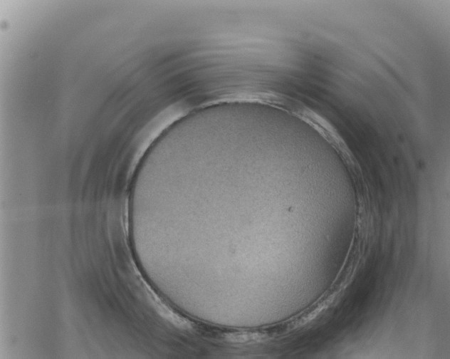 X0000062140804200512161216