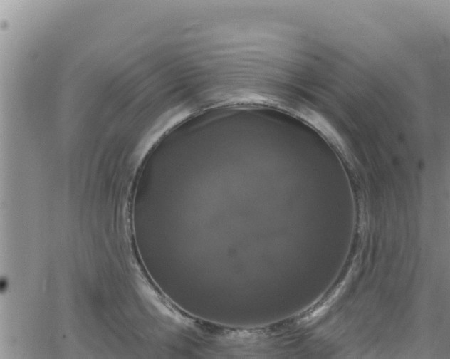 X0000062140806200512161216