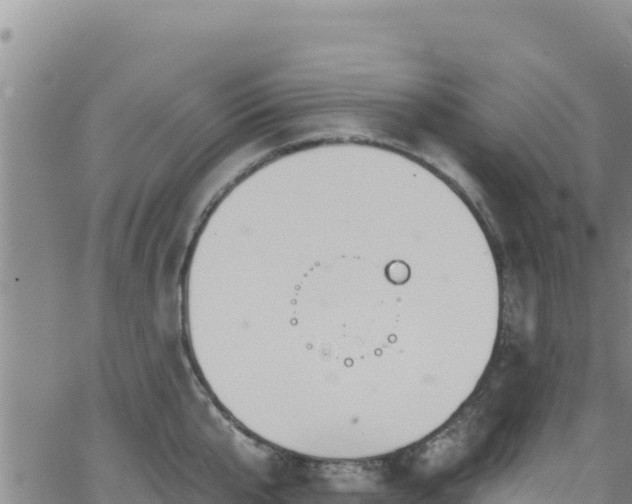 X0000062140807200512161216