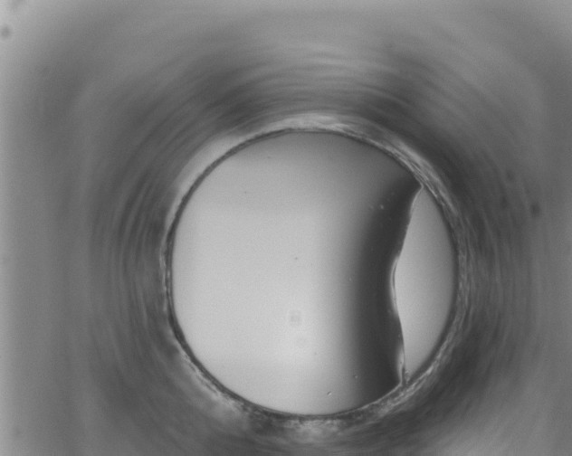 X0000062140808200512161216