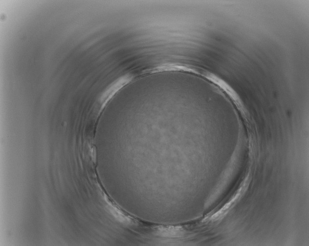 X0000062140809200512161216