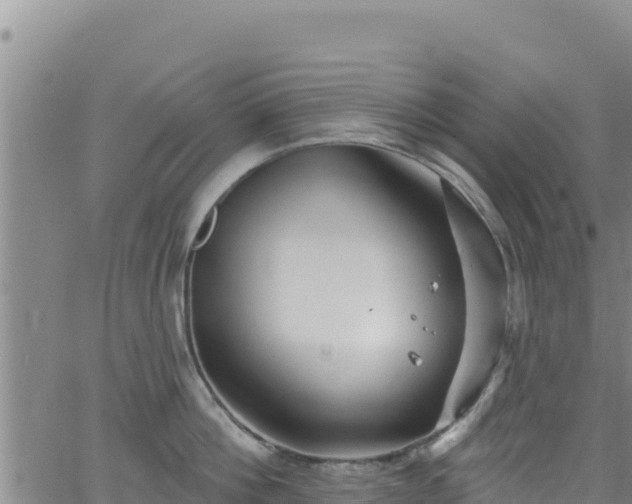 X0000062140812200512161216