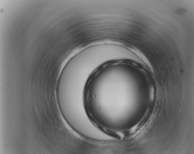 X0000062140813200512161216