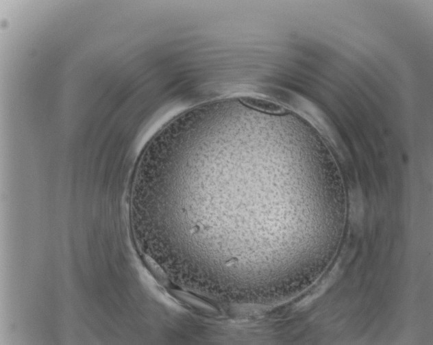 X0000062140814200512161216