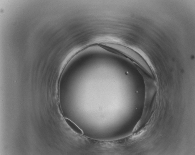 X0000062140815200512161216