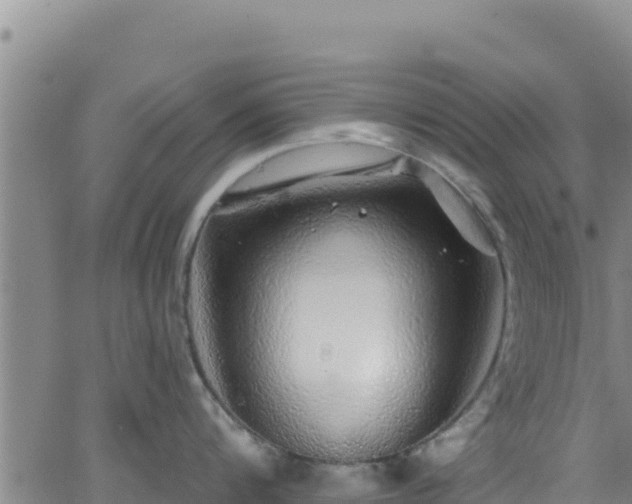 X0000062140816200512161216