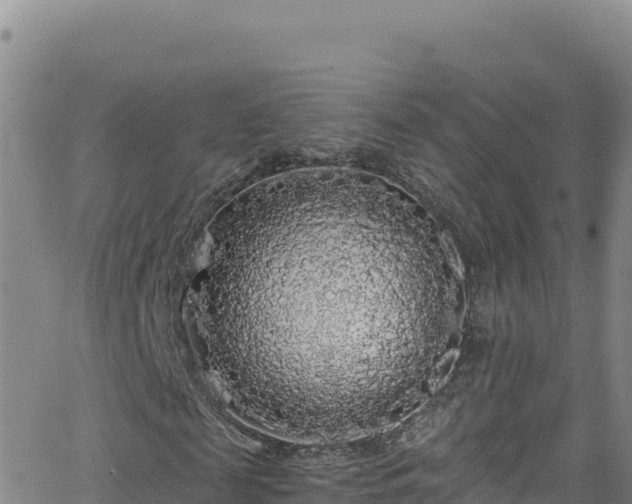 X0000062140817200512161215