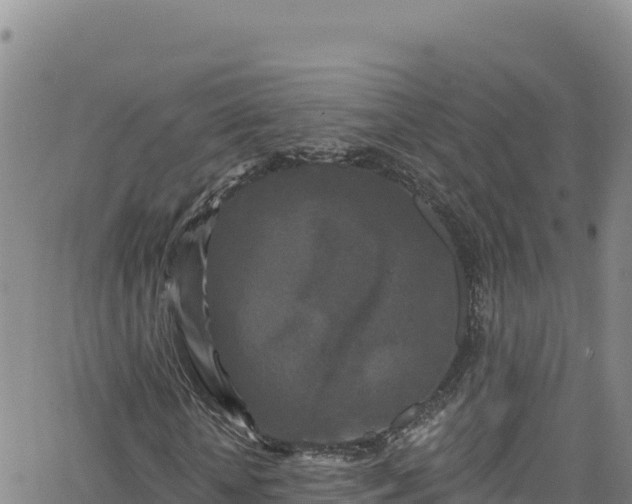 X0000062140818200512161215