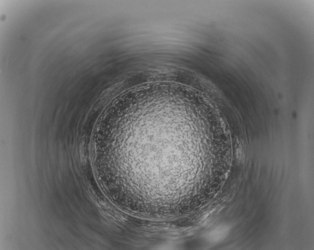 X0000062140819200512161215