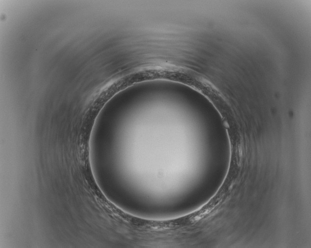 X0000062140822200512161215