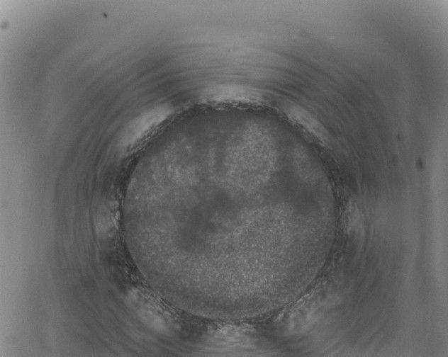 X0000062140824200512161215