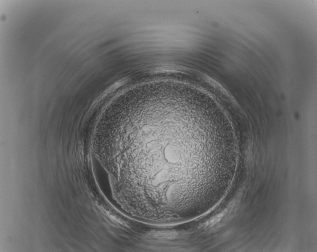 X0000062140825200512161215