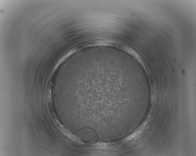 X0000062140827200512161215