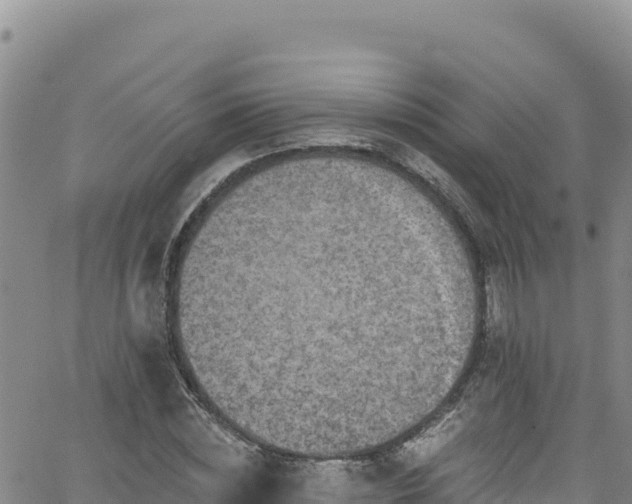 X0000062140828200512161215