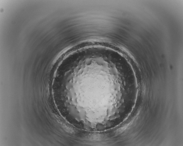 X0000062140829200512161215