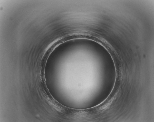 X0000062140830200512161215