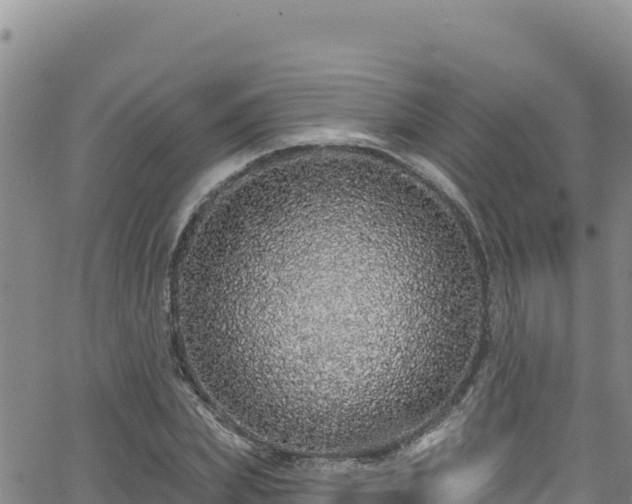 X0000062140831200512161215