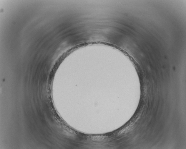 X0000062140832200512161215