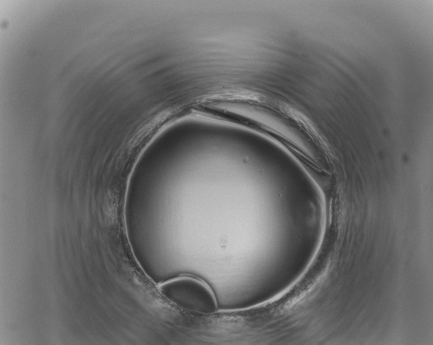 X0000062140833200512161215