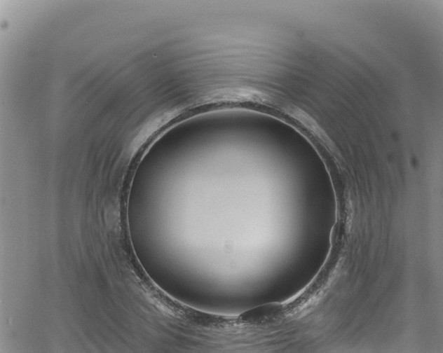 X0000062140834200512161215