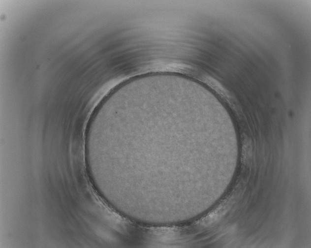 X0000062140836200512161215