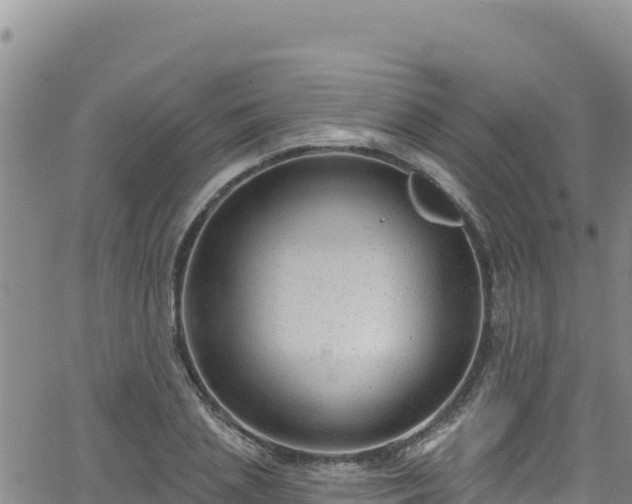 X0000062140837200512161215