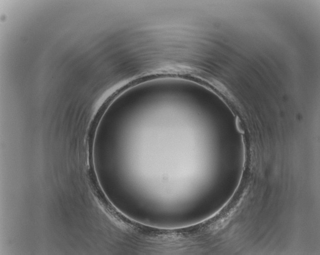 X0000062140838200512161215