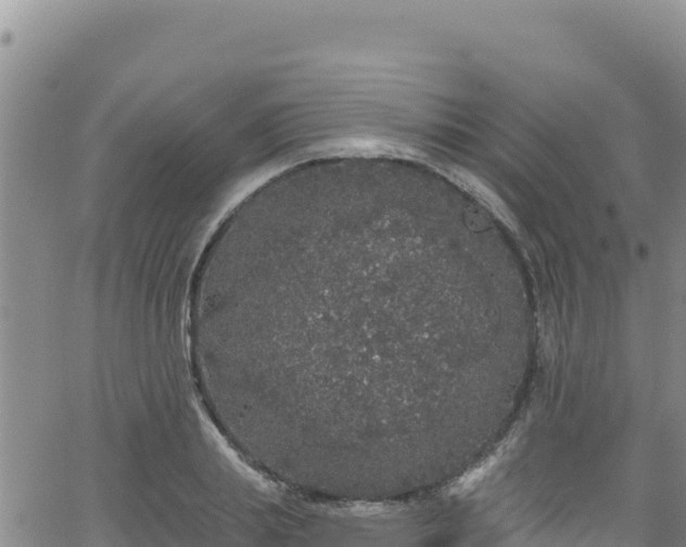 X0000062140839200512161215